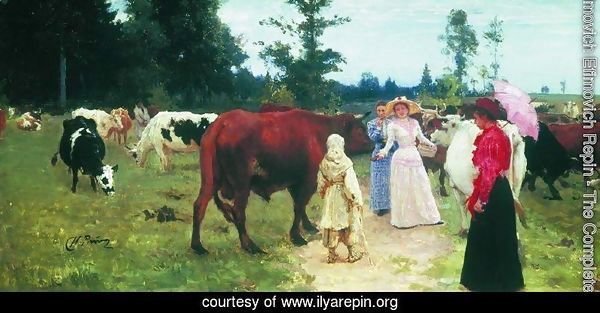 Young ladys walk among herd of cow